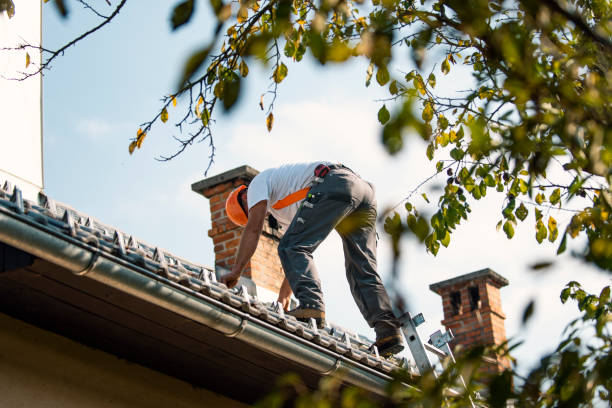 Best Roof Leak Repair  in Gainesboro, TN